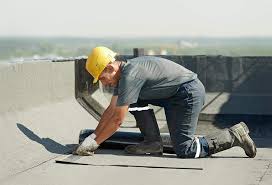 Professional Roofing Service  in Lauderdale, MN